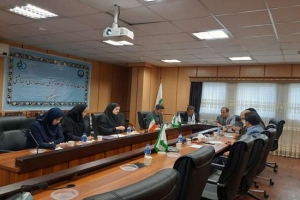 برگزاری هفتمین جلسه کمیسیون ماده ۱۱ تعزیرات حکومتی دانشگاه علوم پزشکی گیلان